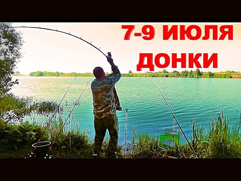 Рыбалка. Донки. Двое Суток На Реке С Больничкой И Афиногеном.