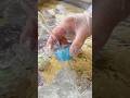 ひんやり涼しい名物の水まんじゅう(Refreshing and Cool Specialty Mizu-Manju)