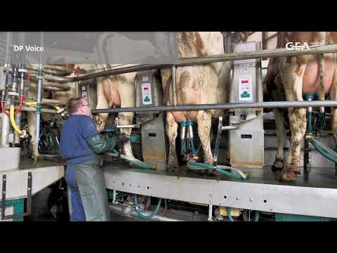 GEA Dairy Farming - Melkstal melkveebedrijf De Valk Leiderdorp
