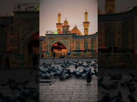 هلهوله للعباس 