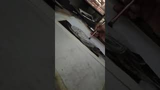Ellana Bryyan curvy plus-size model #art #sketch #ytshorts #trending #viral #painting  #usashorts