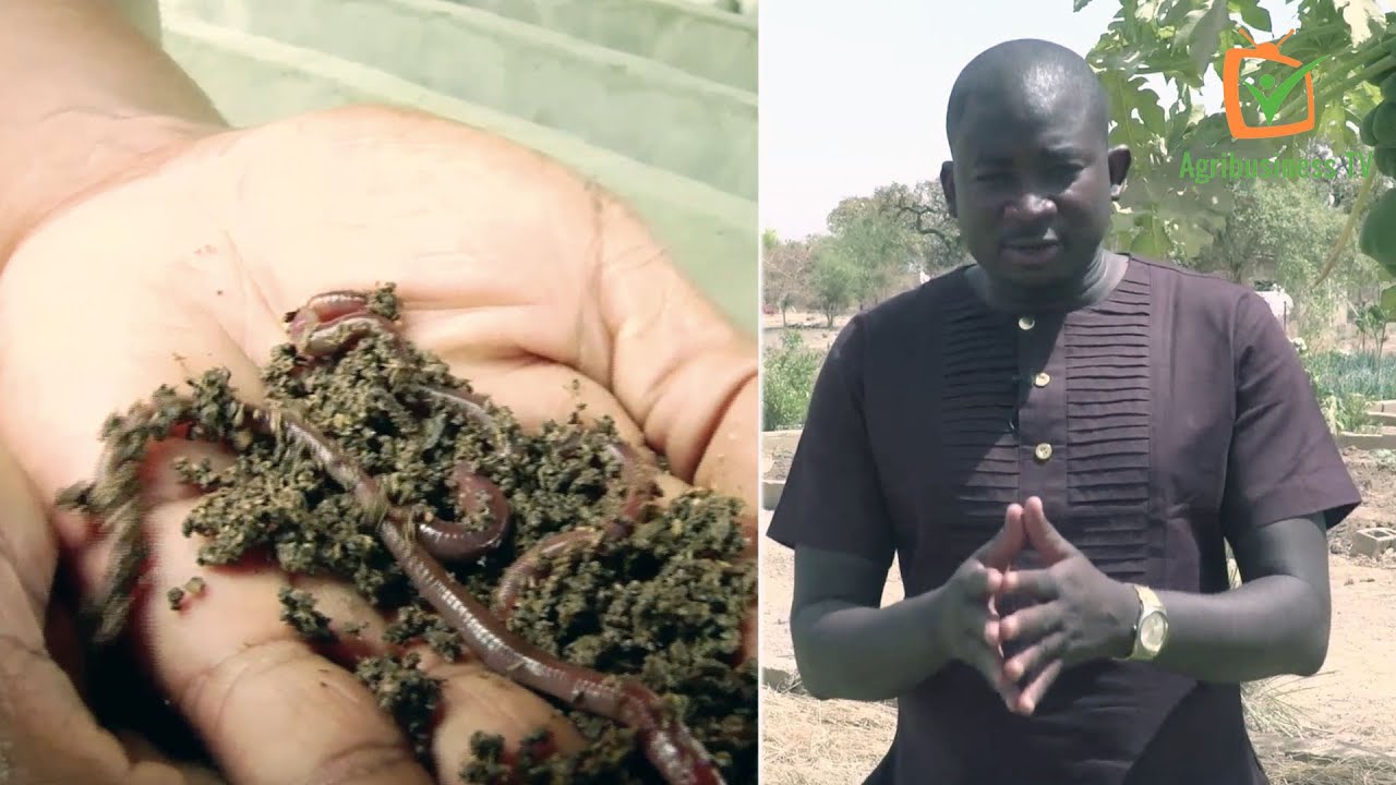 Voir c'est croire - Jeunes et bio 🌱