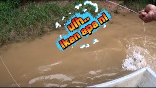 Aduhbarang Padu Dah Tapi