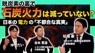 脱炭素の裏で石炭火力は減っていない？日本の電力の不都合な事実