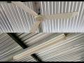 Install a Fluorescent Lamp T8 with Electronic Ballast in my School