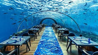 The Most Expensive Restaurant In The World