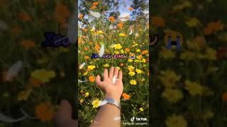 Ibu aq rindu aq harap di mimpi mimpiku selalu dirimu ibuyang selalu menemaniku