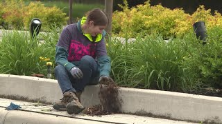 Let's Grow There: When Can I Start Planting My Garden?