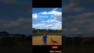 Funniest video forever 🤣 | Episode 39 | #shorts #comedyshorts #funnyvideo