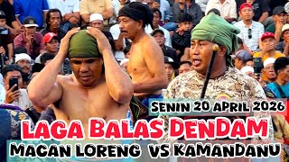 HAJI RIZAL ARYA KAMANDANU VS MACAN LORENG // PERESEAN GERUNG