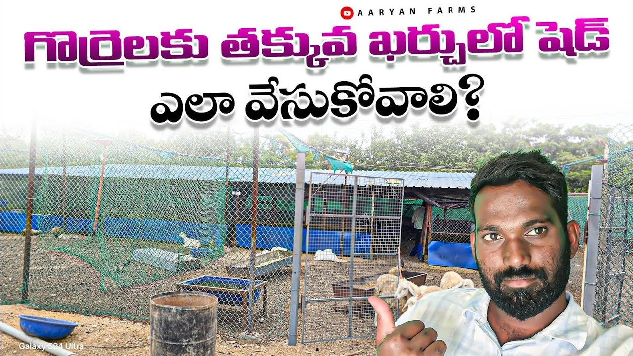 Goat and sheep shed || గొర్రెల కోసం షెడ్ ఇలా వేసుకోండి  