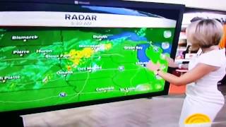 Nbc News Weather Lady