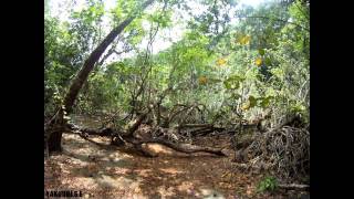 Ko Tachai Island - Phang Nga - Thailand