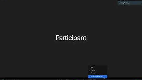 Using the interpretation feature as participant in Zoom