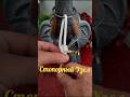 Basic Knots.Узел Отлично Подходит Для Натяжения Палаток, Навесов, Сеток #diy #shorts