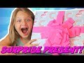 Opening Surprise Presents from The TOY Reviewer- Lot&#39;s of Surprise Toys For Kids