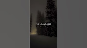 Surah Al-Maidah 117  سورة المائدة #quraniv #quran