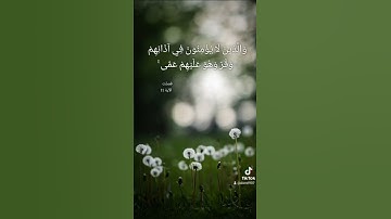ولو جعلناه قرآنا أعجميا تلاوة الشيخ عبدالله بصفر #quran