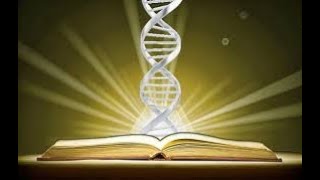 DNA(remix