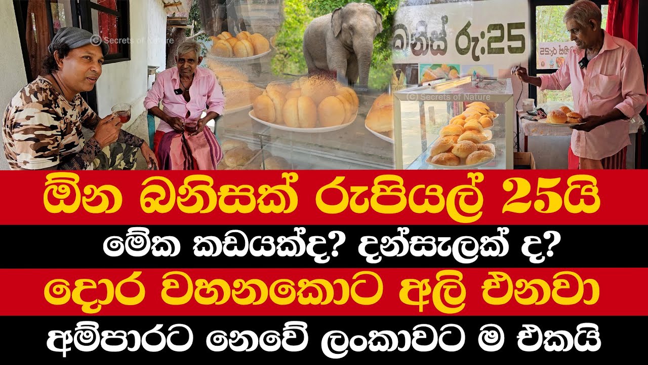 ඕන බනිසක් රුපියල් 25යි | මේක කඩයක්ද? දන්සැලක් ද? | දොර වහනකොට අලි එනවා