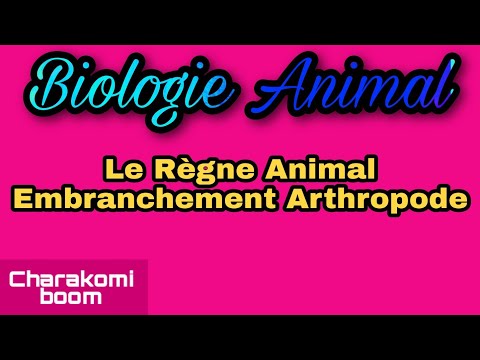 Vidéo: Evolution Du Contenu Des Gènes Chez Les Arthropodes