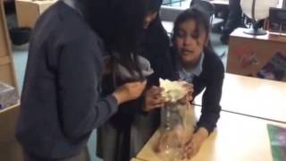 Water Filter - British Science Week 2016