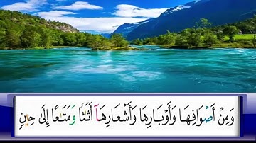 الربع      110/الشيخ محمد جبريل /من سورة النحل
