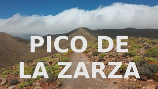 Pico de la Zarza - Fuerteventura's Highest Mountain - la montaña más alta de  Fuerteventura