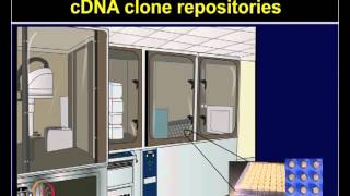 Mod-28 Lec-28 Microarray related concepts: Recombinational cloning Cell-free expression