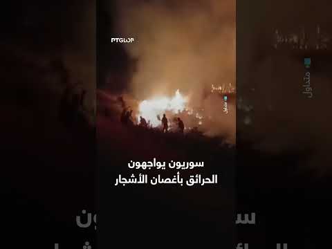 سوريون يواجهون حرائق الغابات بأغصان الأشجار