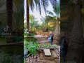 ياعيد انا لي ثلاث ايام ياعيد انا لي ثلاث ايام