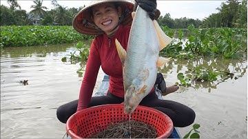 1711  Giăng câu cá tra sông Cái Bé