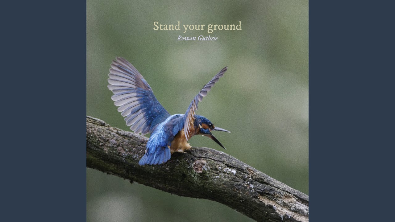Watch Stand your ground on YouTube Watch Stand your ground on YouTube