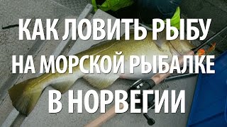 МОРСКАЯ РЫБАЛКА в НОРВЕГИИ на БАРЕНЦЕВОМ МОРЕ на СПИННИНГ