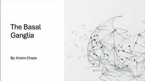 My Favorite Brain Part