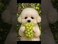 Bursting Shine Muscat Grapes in One Bite! Mochi’s Juicy Explosion 🍇샤인머스켓 한입에 톡톡! 모찌의 과즙 폭발😍 #cute