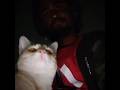 meet my Cat 💗 #gym #shorts #cat #workout #viral #viralshorts #trending #trendingnow Claws Of Courage