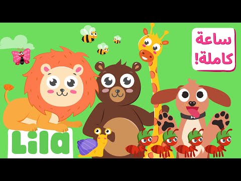 1 Stunde Tierlieder für Kinder 🐳 Lila TV