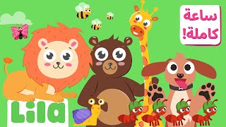 1 Hour of Animal Songs for Kids 🐳 Lila TV