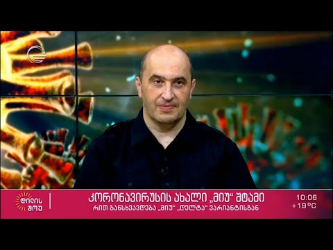 ალერგოლოგ-იმუნოლოგი გიორგი კამკამიძე სტუმრად „დილის შოუში“