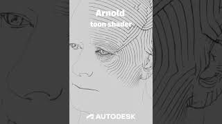#arnoldrenderer