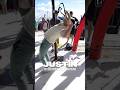 Rock to Transition | Kipping Ring Muscle Up Drill #rxgymnastics #muscleup #ringmuscleup