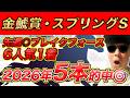 【スプリングS(GⅡ)、金鯱賞(GⅡ)、米子城S、東風S、甲南S】2024年WIN5的中本数日本一のYouTuberが予想するWIN5！！