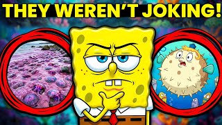 10 Hidden Things You Didn't Notice in SpongeBob! 🧽🌊