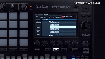 TORAIZ SP-16 Tutorial 2 - Browsing and Assigning Samples