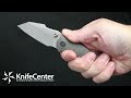 We knife company gavko highfin folding knife