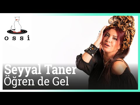 Seyyal Taner - Öğren de Gel (Selami Bilgiç Versiyon)