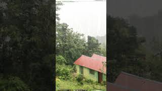 Jamaica Rain Sounds for Sleeping: Rain in Jamaica for Sleep, Meditation to relax #shorts #rainsounds