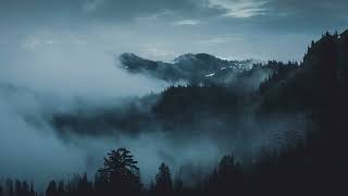 Shifting Path // Withstand