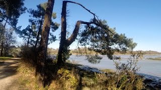 Happy 56 Bretagne Sud